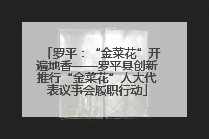 罗平：“金菜花”开遍地香——罗平县创新推行“金菜花”人大代表议事会履职行动